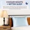 image:imageBlissy Silk Pillowcase  100 Pure Mulberry Silk  22 Momme 6A HighGrade Fibers  Silk Pillow Cover for Hair amp Skin  Regular Queen amp King Emerald StandardSky Blue