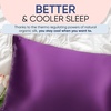 image:imageBlissy Silk Pillowcase  100 Pure Mulberry Silk  22 Momme 6A HighGrade Fibers  Silk Pillow Cover for Hair amp Skin  Regular Queen amp King Emerald StandardRoyal Purple