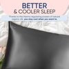 image:imageBlissy Silk Pillowcase  100 Pure Mulberry Silk  22 Momme 6A HighGrade Fibers  Silk Pillow Cover for Hair amp Skin  Regular Queen amp King Emerald StandardGray