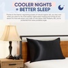 image:imageBlissy Silk Pillowcase  100 Pure Mulberry Silk  22 Momme 6A HighGrade Fibers  Silk Pillow Cover for Hair amp Skin  Regular Queen amp King Emerald StandardBlack