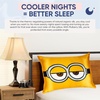 image:imageBlissy Silk Pillowcase  100 Pure Mulberry Silk  22 Momme 6A HighGrade Fibers  Silk Pillow Cover for Hair amp Skin  Regular Queen amp King Emerald StandardMinion