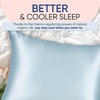 image:imageBlissy Silk Pillowcase  100 Pure Mulberry Silk  22 Momme 6A HighGrade Fibers  Silk Pillow Cover for Hair amp Skin  Regular Queen amp King Emerald StandardSky Blue