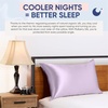 image:imageBlissy Silk Pillowcase  100 Pure Mulberry Silk  22 Momme 6A HighGrade Fibers  Silk Pillow Cover for Hair amp Skin  Regular Queen amp King Emerald StandardLavender