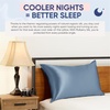 image:imageBlissy Silk Pillowcase  100 Pure Mulberry Silk  22 Momme 6A HighGrade Fibers  Silk Pillow Cover for Hair amp Skin  Regular Queen amp King Emerald StandardAsh Blue