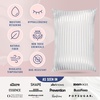 image:imageBlissy Silk Pillowcase  100 Pure Mulberry Silk  22 Momme 6A HighGrade Fibers  Silk Pillow Cover for Hair amp Skin  Regular Queen amp King Emerald StandardWhite Striped