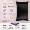 image:imageBlissy Silk Pillowcase  100 Pure Mulberry Silk  22 Momme 6A HighGrade Fibers  Silk Pillow Cover for Hair amp Skin  Regular Queen amp King Emerald StandardBlack