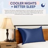 image:imageBlissy Silk Pillowcase  100 Pure Mulberry Silk  22 Momme 6A HighGrade Fibers  Silk Pillow Cover for Hair amp Skin  Regular Queen amp King Emerald StandardBlue