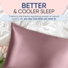 image:imageBlissy Silk Pillowcase  100 Pure Mulberry Silk  22 Momme 6A HighGrade Fibers  Silk Pillow Cover for Hair amp Skin  Regular Queen amp King Emerald StandardPlum