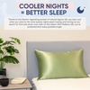 image:imageBlissy Silk Pillowcase  100 Pure Mulberry Silk  22 Momme 6A HighGrade Fibers  Silk Pillow Cover for Hair amp Skin  Regular Queen amp King Emerald StandardOlive