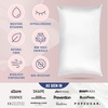image:imageBlissy Silk Pillowcase  100 Pure Mulberry Silk  22 Momme 6A HighGrade Fibers  Silk Pillow Cover for Hair amp Skin  Regular Queen amp King Emerald StandardBlissy White