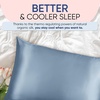 image:imageBlissy Silk Pillowcase  100 Pure Mulberry Silk  22 Momme 6A HighGrade Fibers  Silk Pillow Cover for Hair amp Skin  Regular Queen amp King Emerald StandardAsh Blue