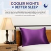 image:imageBlissy Silk Pillowcase  100 Pure Mulberry Silk  22 Momme 6A HighGrade Fibers  Silk Pillow Cover for Hair amp Skin  Regular Queen amp King Emerald StandardRoyal Purple