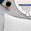 image:imageBlissy Silk Pillowcase  100 Pure Mulberry Silk  22 Momme 6A HighGrade Fibers  Silk Pillow Cover for Hair amp Skin  Regular Queen amp King Emerald StandardWhite Striped