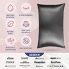 image:imageBlissy Silk Pillowcase  100 Pure Mulberry Silk  22 Momme 6A HighGrade Fibers  Silk Pillow Cover for Hair amp Skin  Regular Queen amp King Emerald StandardGray