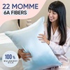 image:imageBlissy Silk Pillowcase  100 Pure Mulberry Silk  22 Momme 6A HighGrade Fibers  Silk Pillow Cover for Hair amp Skin  Regular Queen amp King Emerald StandardSky Blue