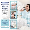image:imageBlissy Silk Pillowcase  100 Pure Mulberry Silk  22 Momme 6A HighGrade Fibers  Silk Pillow Cover for Hair amp Skin  Regular Queen amp King Emerald StandardBlissy White
