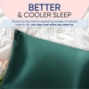 image:imageBlissy Silk Pillowcase  100 Pure Mulberry Silk  22 Momme 6A HighGrade Fibers  Silk Pillow Cover for Hair amp Skin  Regular Queen amp King Emerald StandardEmerald