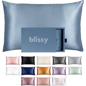 image:imageBlissy Silk Pillowcase  100 Pure Mulberry Silk  22 Momme 6A HighGrade Fibers  Silk Pillow Cover for Hair amp Skin  Regular Queen amp King Emerald StandardAsh Blue