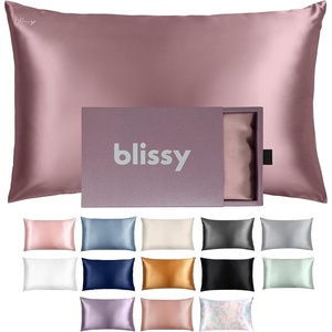 image:imageBlissy Silk Pillowcase  100 Pure Mulberry Silk  22 Momme 6A HighGrade Fibers  Silk Pillow Cover for Hair amp Skin  Regular Queen amp King Emerald StandardPlum