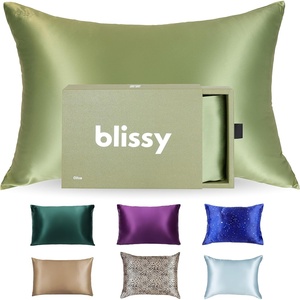 image:imageBlissy Silk Pillowcase  100 Pure Mulberry Silk  22 Momme 6A HighGrade Fibers  Silk Pillow Cover for Hair amp Skin  Regular Queen amp King Emerald StandardOlive