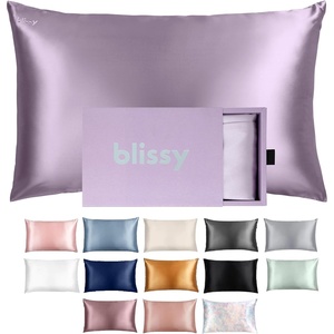 image:imageBlissy Silk Pillowcase  100 Pure Mulberry Silk  22 Momme 6A HighGrade Fibers  Silk Pillow Cover for Hair amp Skin  Regular Queen amp King Emerald StandardLavender
